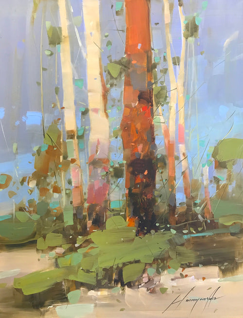 Birches  Trees