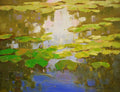 Waterlilies