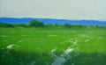 Summer Field