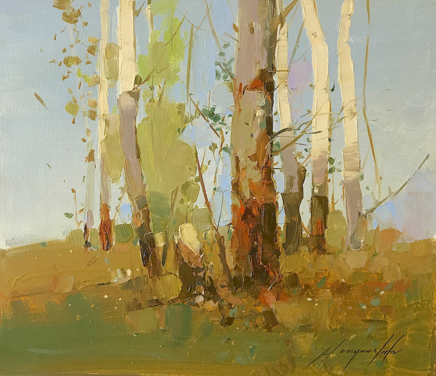 Birches