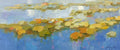 Waterlilies