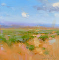 Sedona Desert