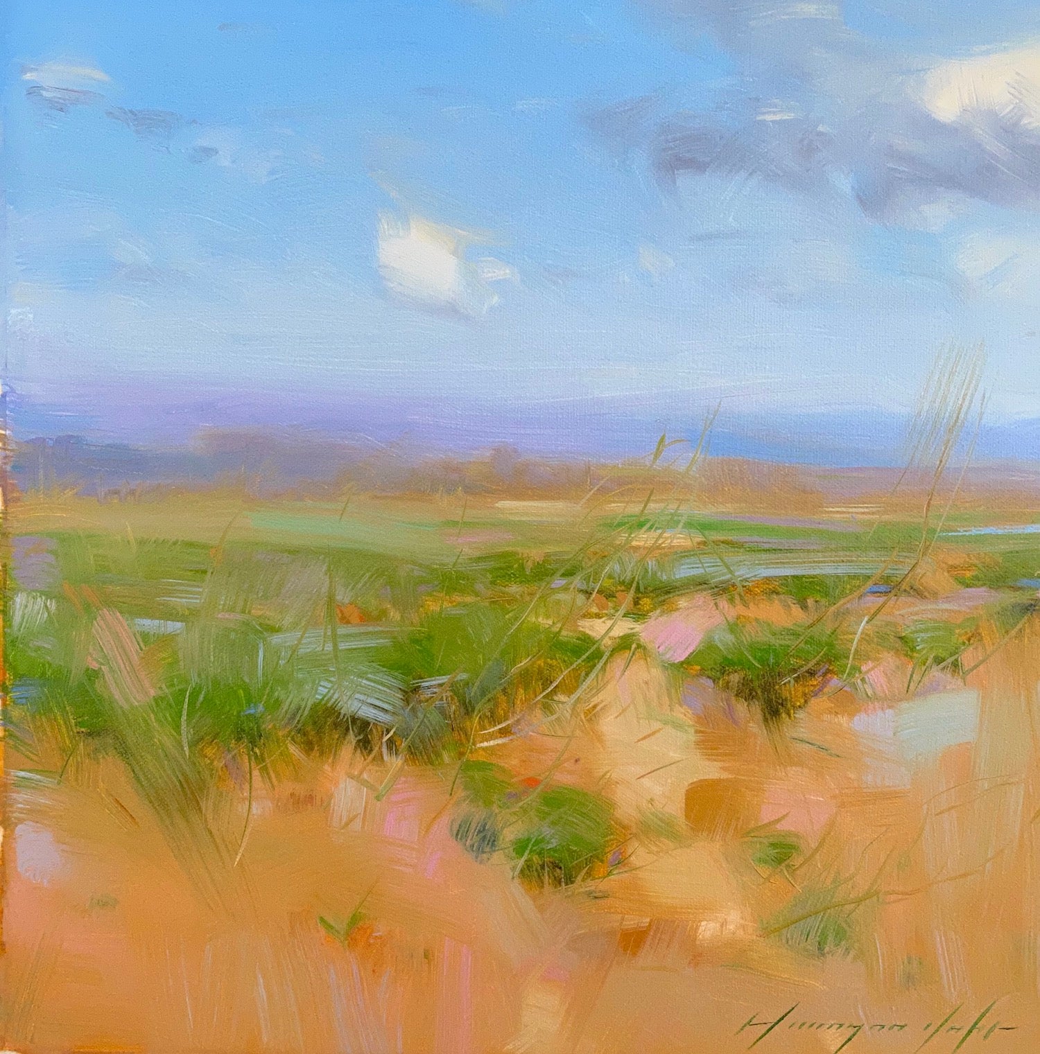 Sedona Desert