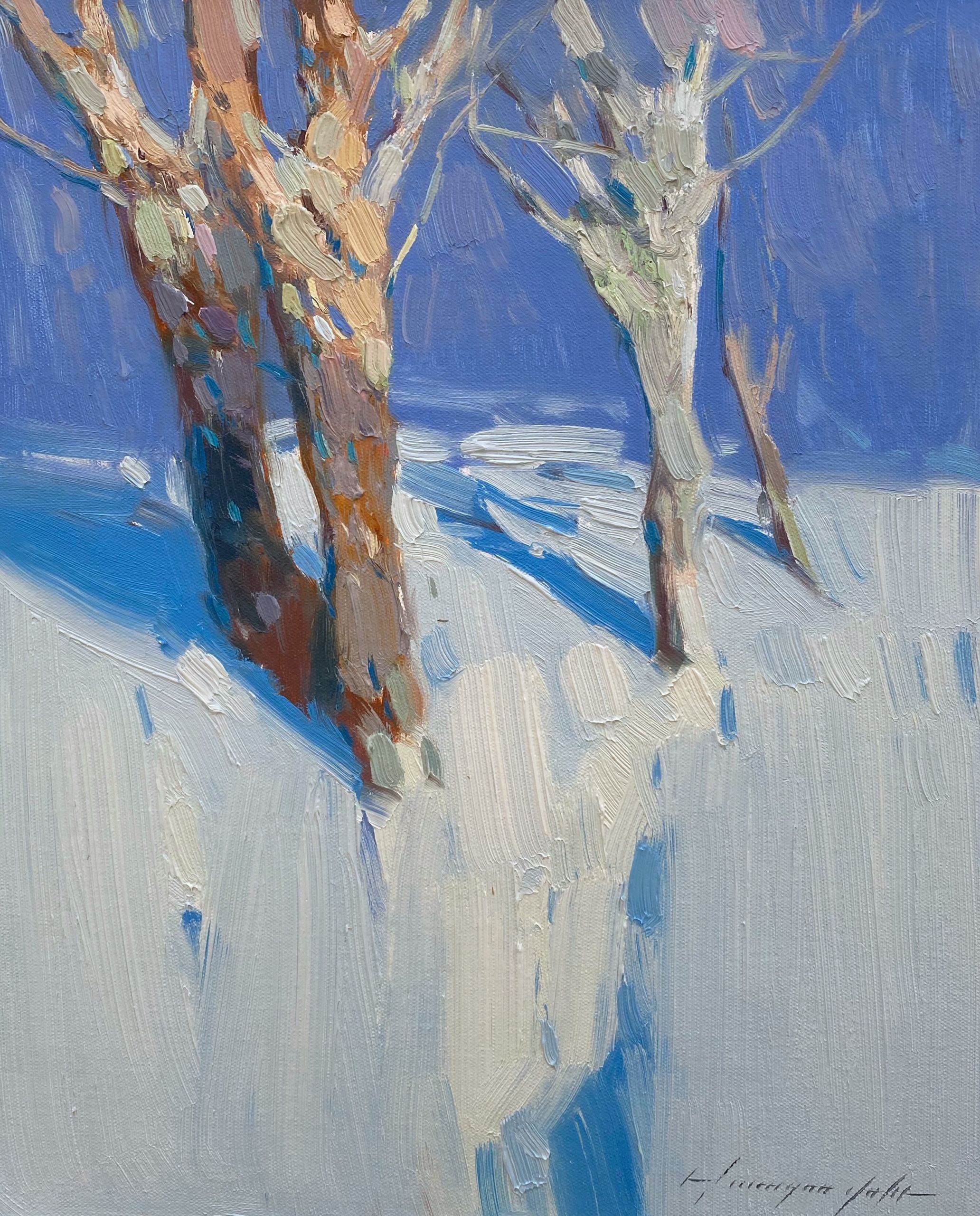 Winter Trees