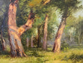 Oak Trees