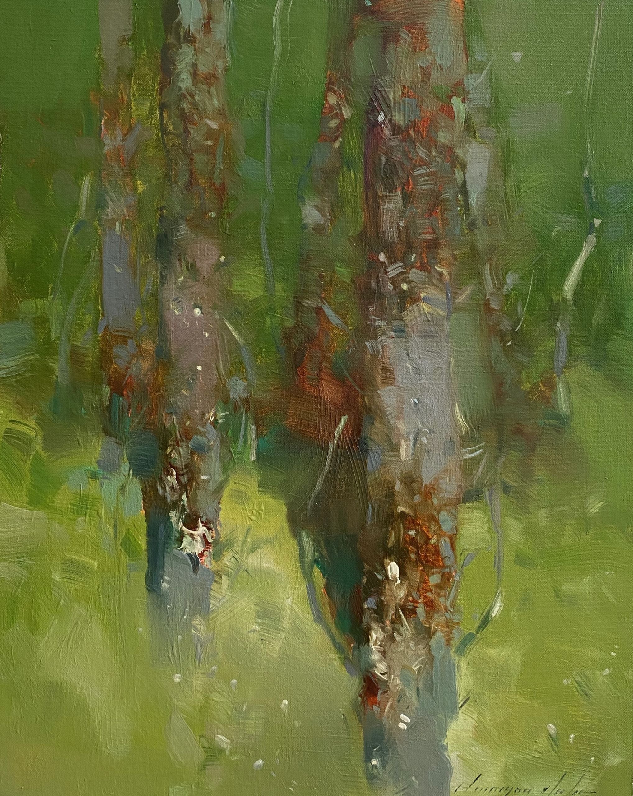Forest Trees