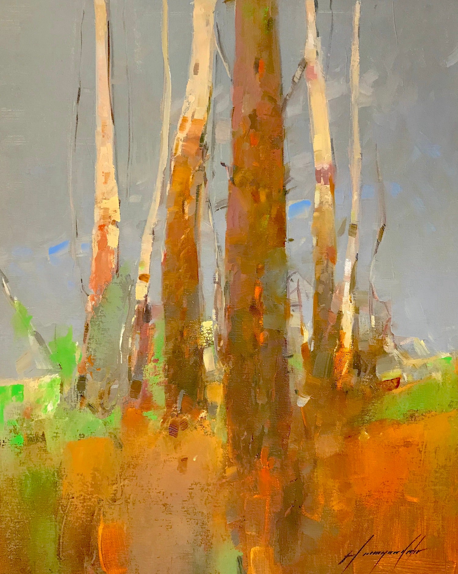 Birches Trees
