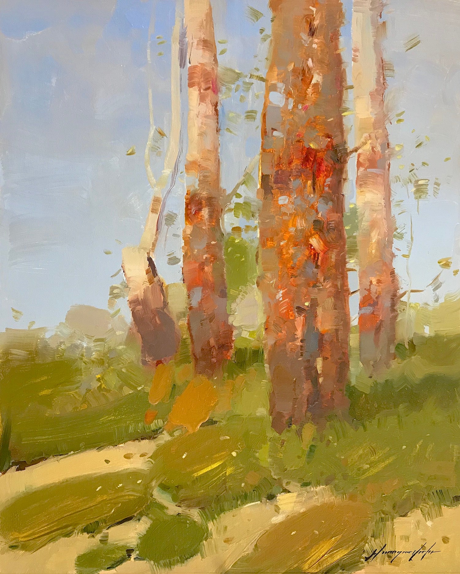 Birches Trees