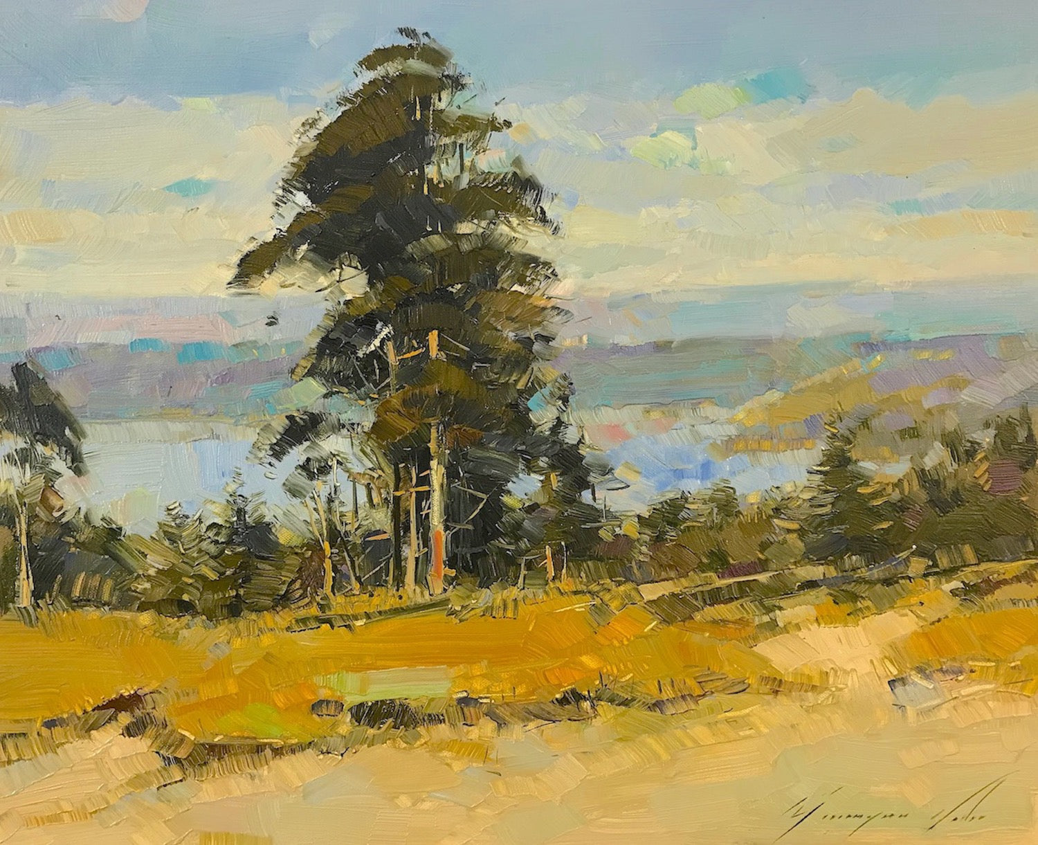 Path to the Lake
