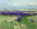 Field of Lavenders