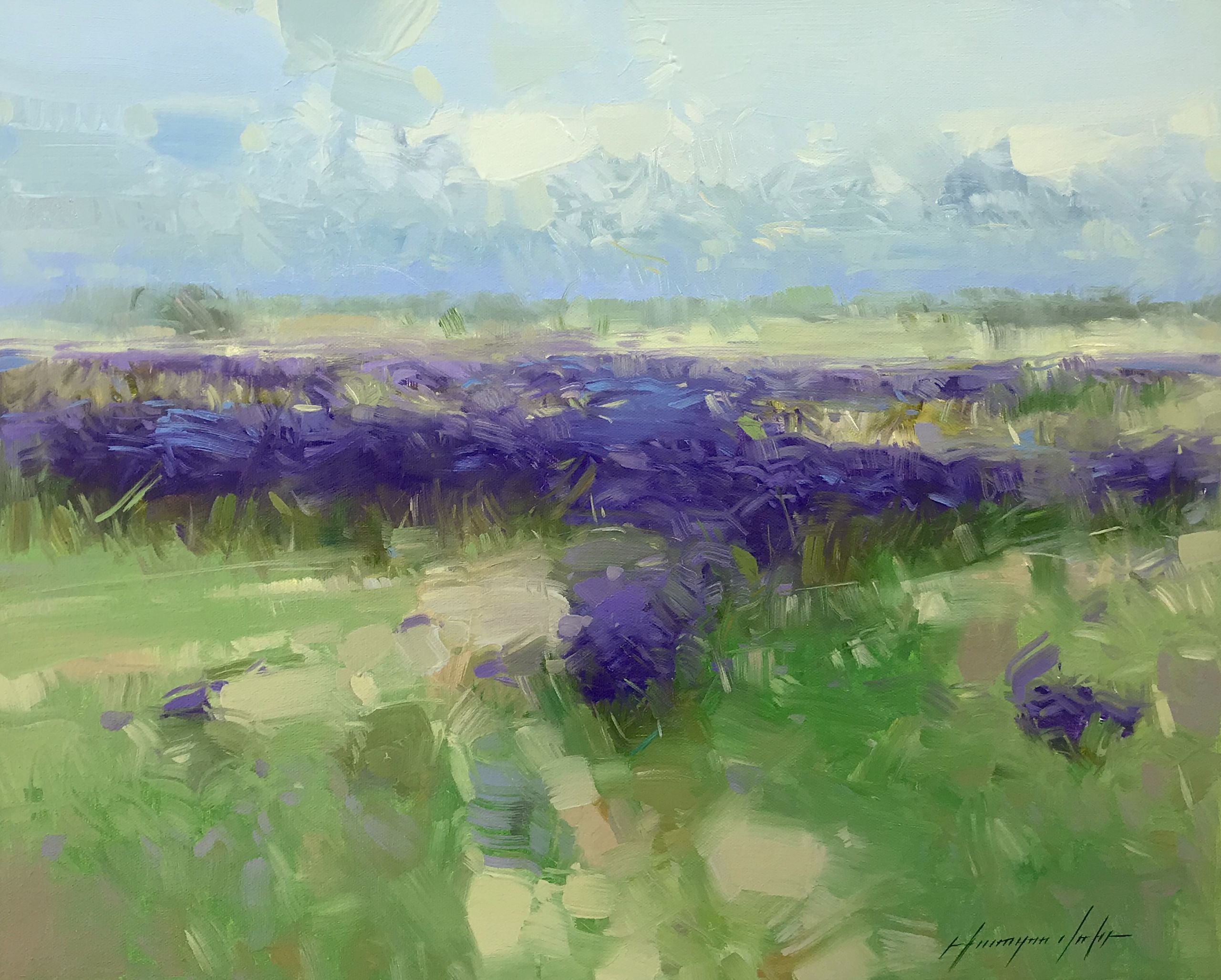 Field of Lavenders