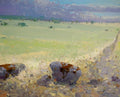Meadow