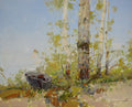 Birches Trees