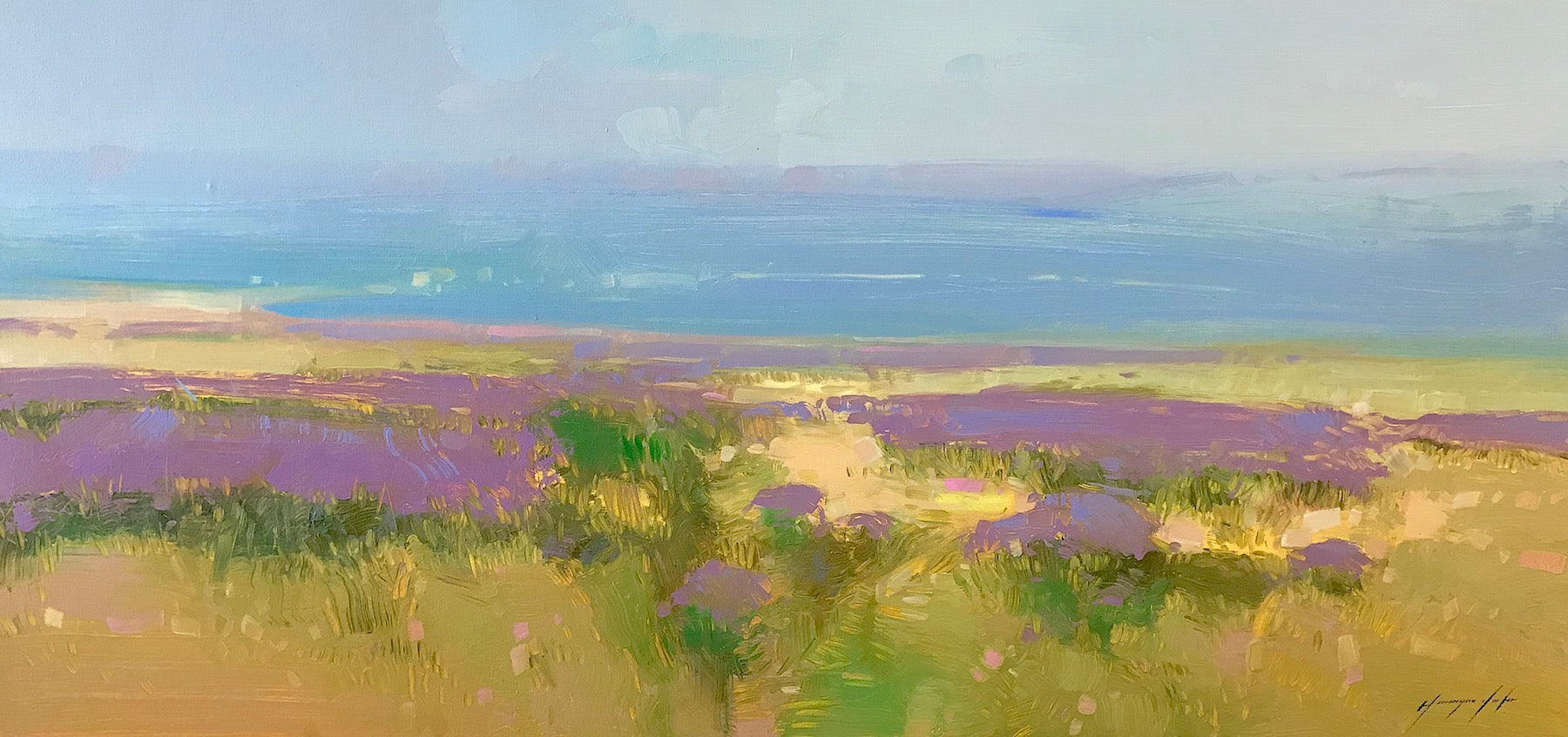 Field of Lavenders