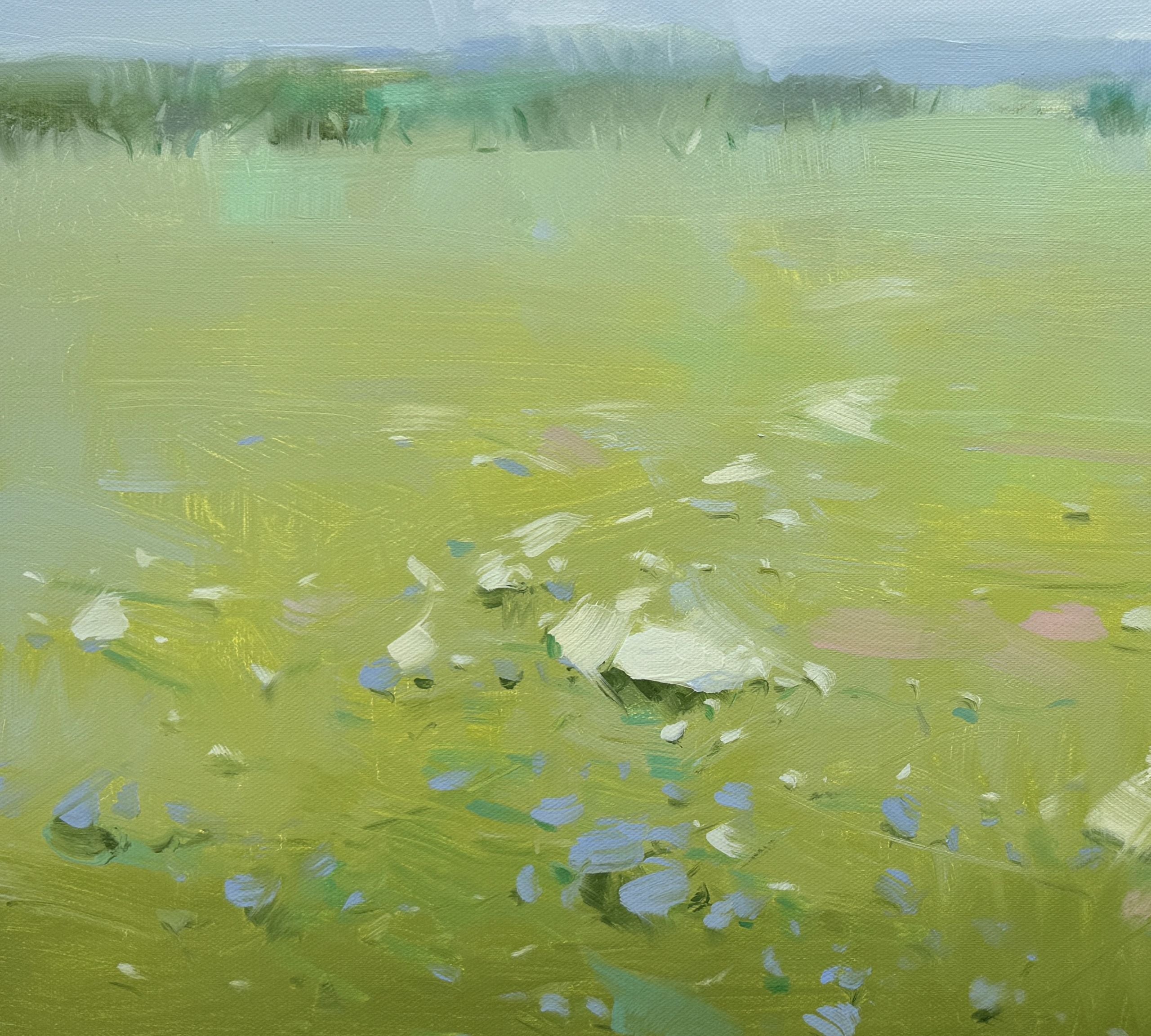 Field