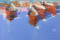 Red Boats
