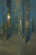 Light in Forest