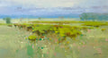 Spring Field