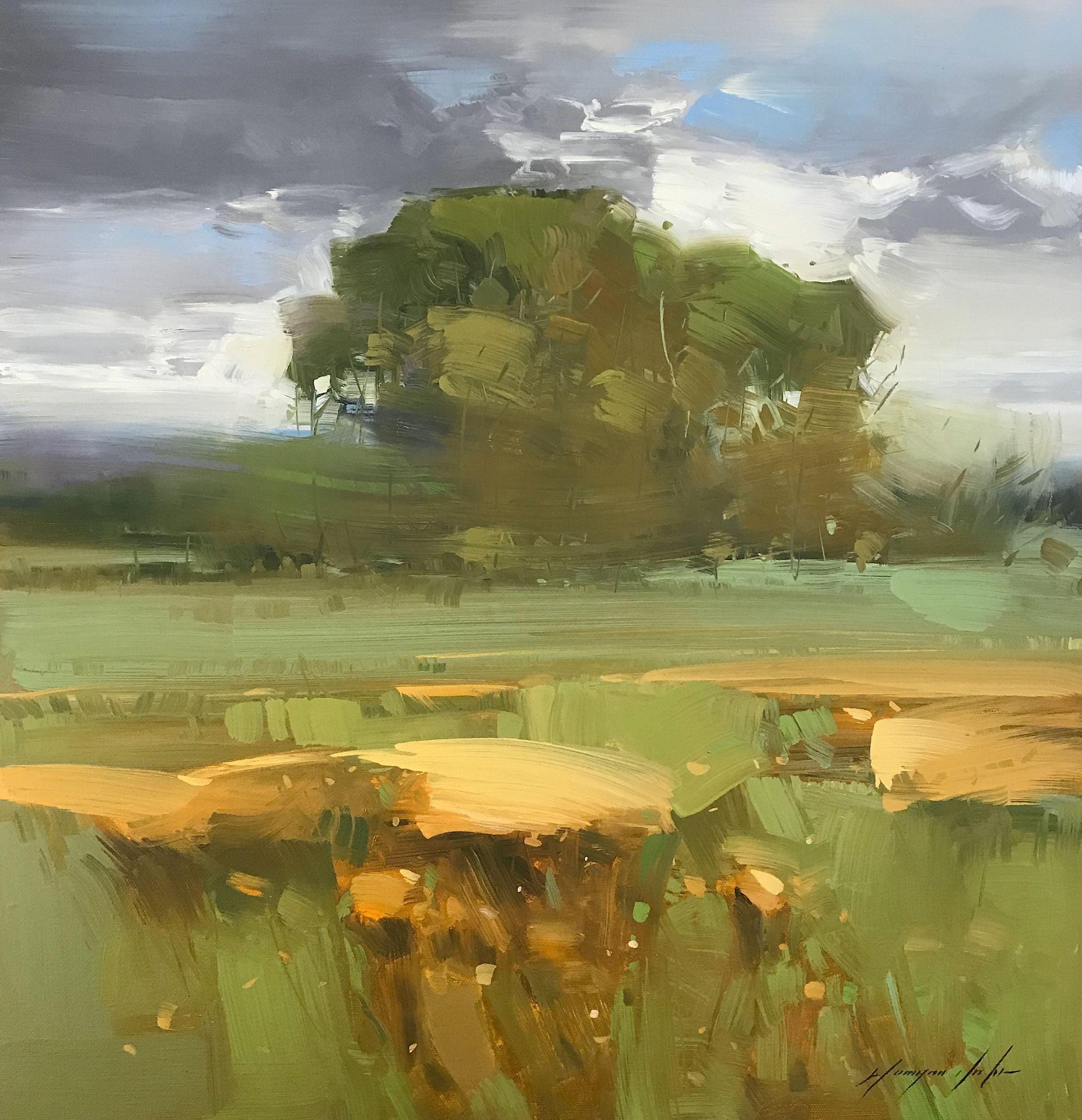 Summer Field