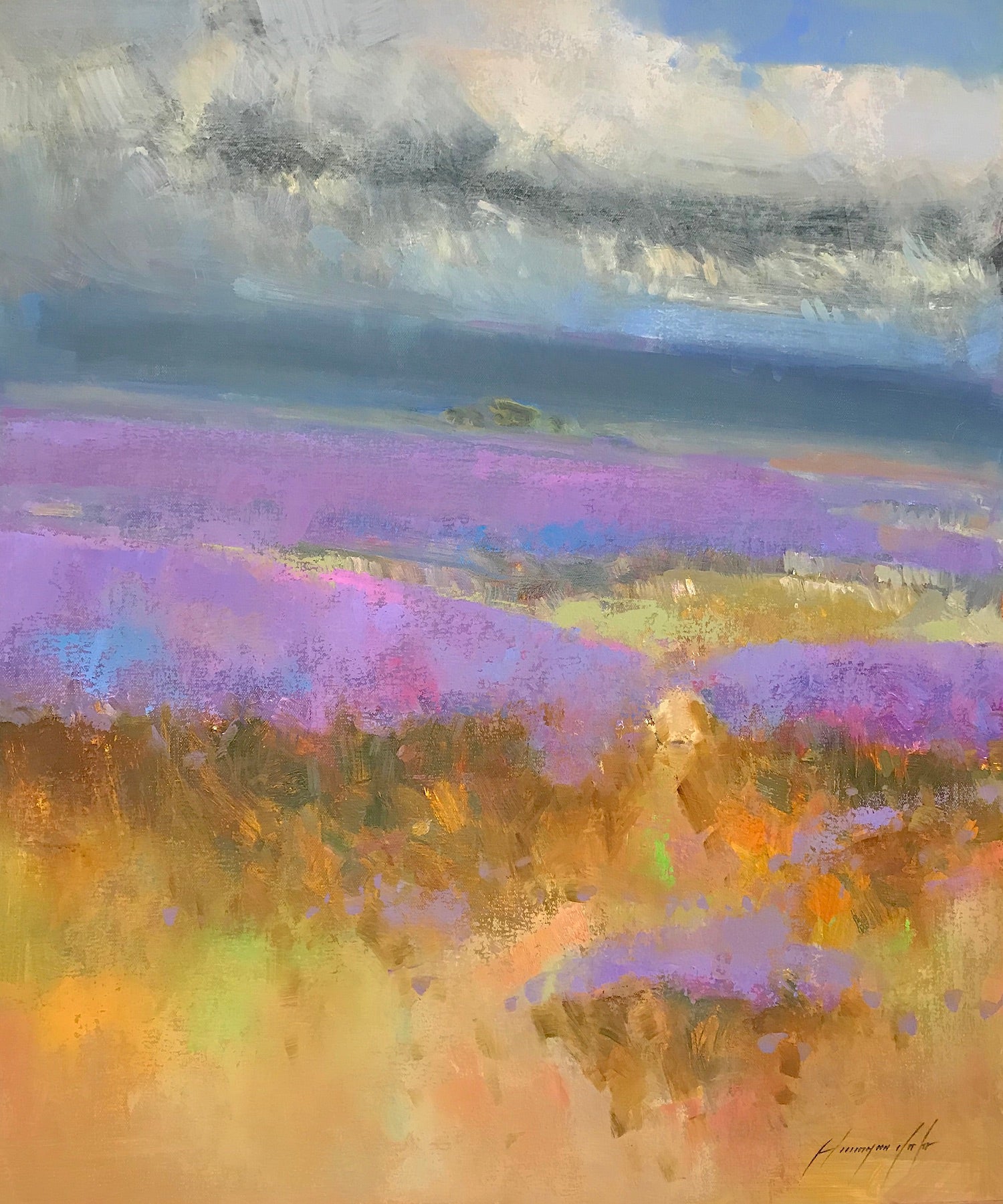 Field of Lavenders