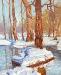 Sunny Winter