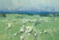 Field of Flowers