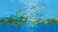 Lilies Pond