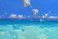 Caribbean Sky