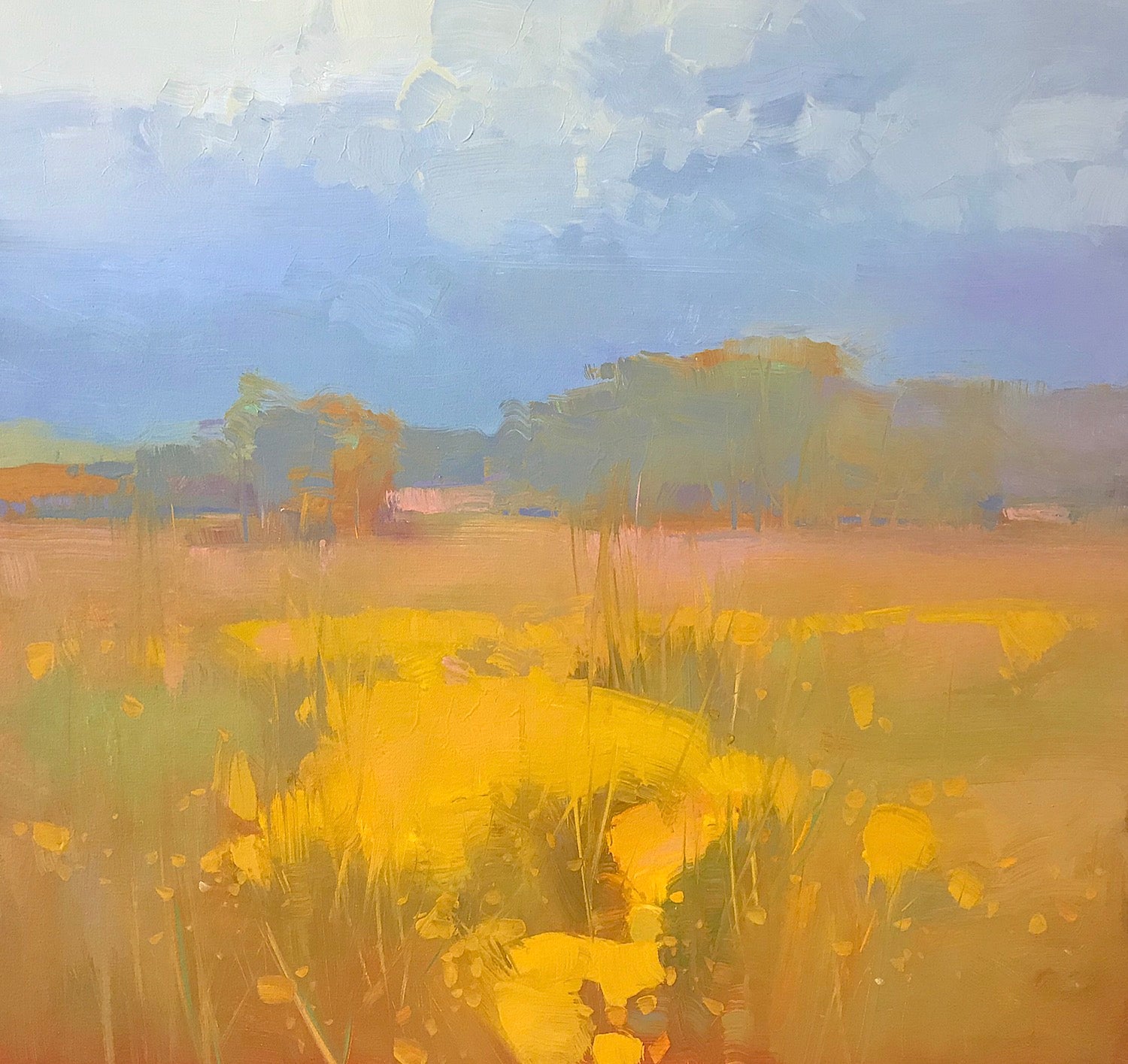 Field of Flowers