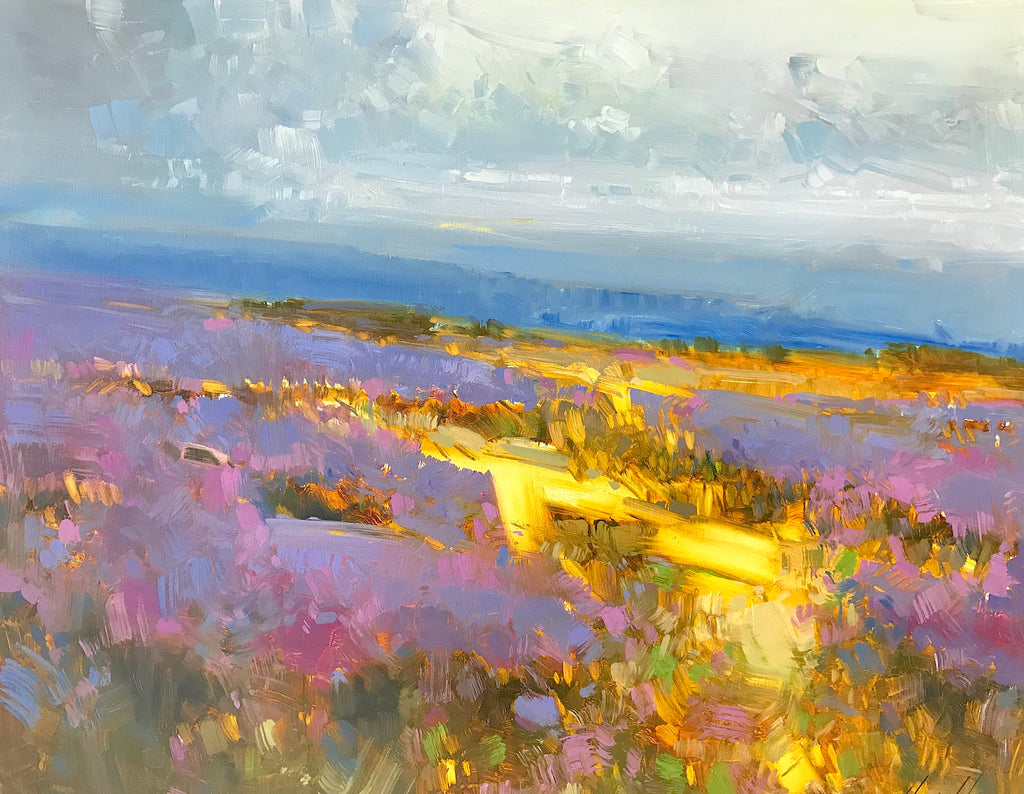 Field of Lavenders