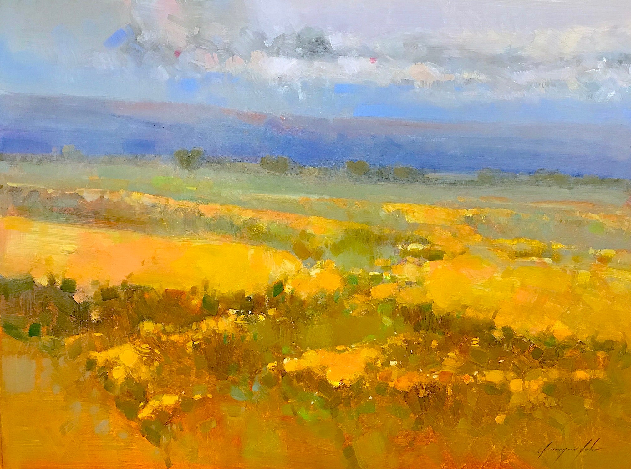 Field of Yellow Flowers