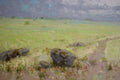 Meadow
