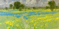 Summer Field