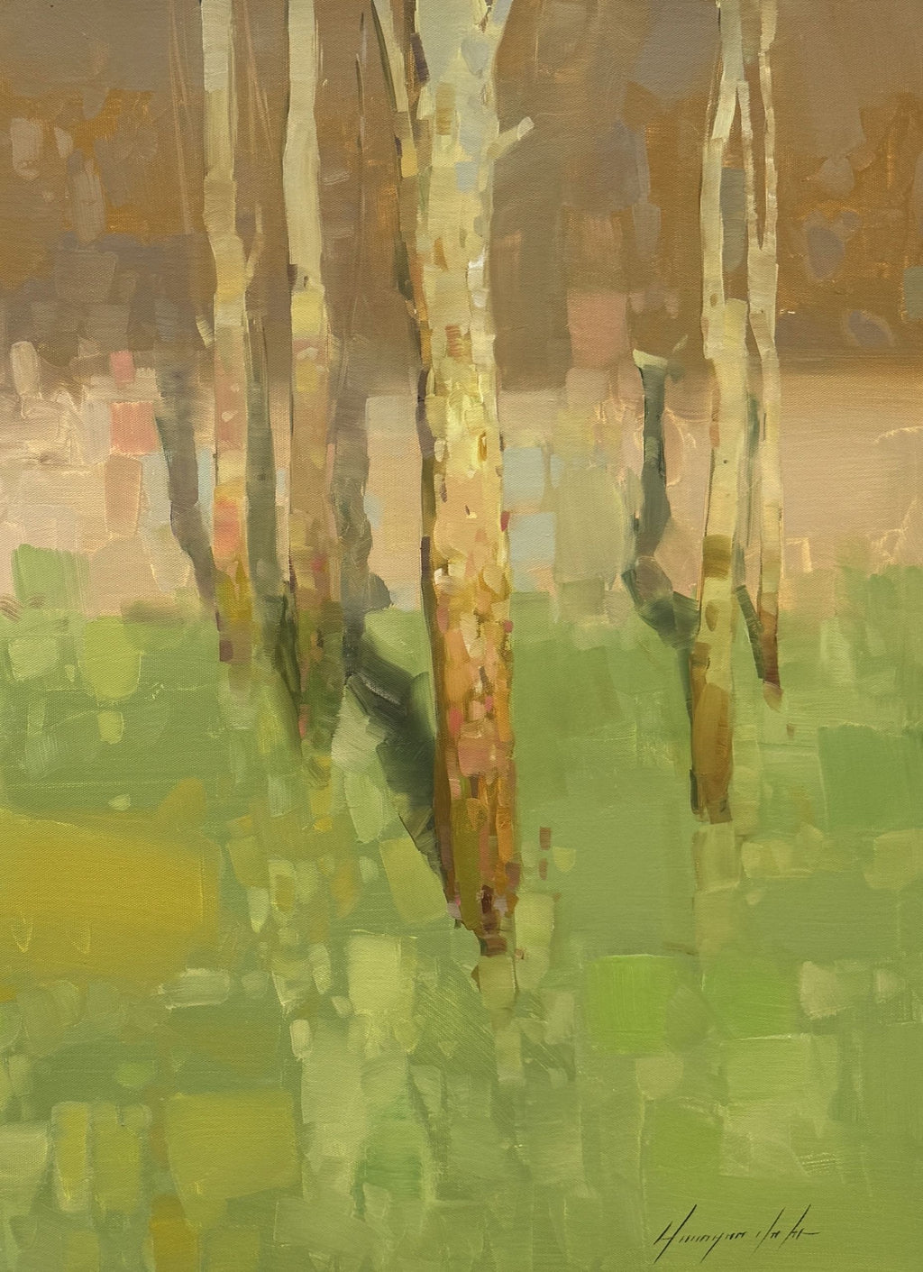 Birches Trees