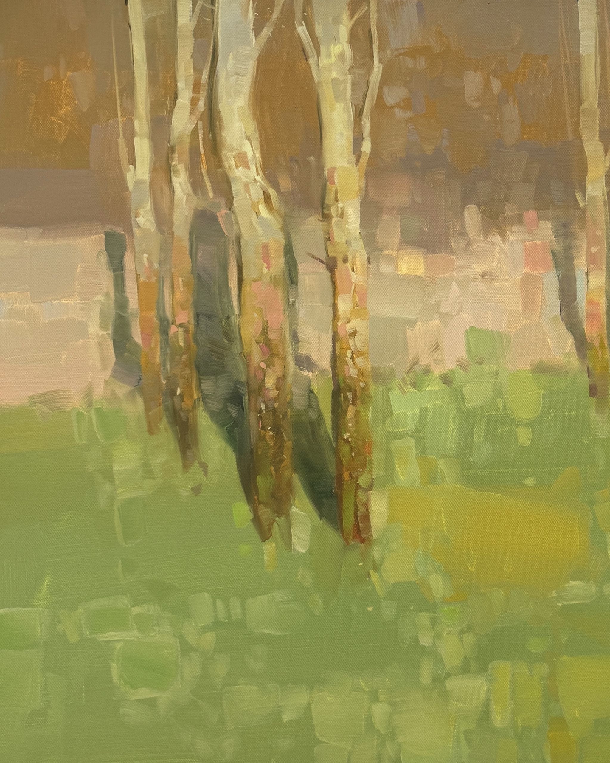 Birches Trees