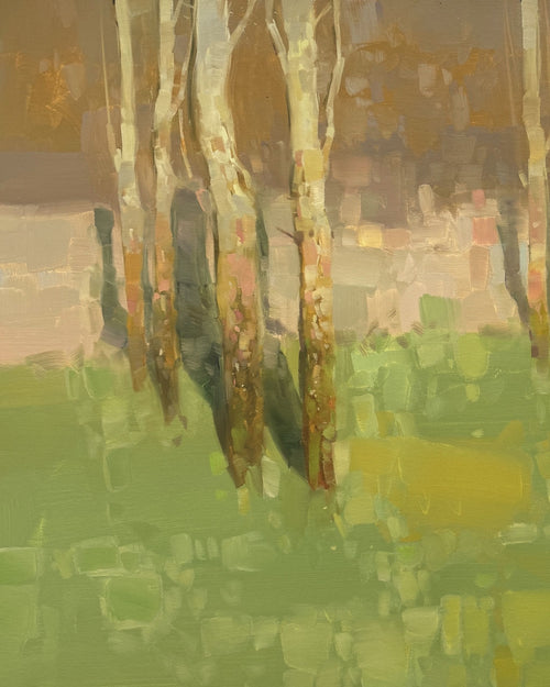 Birches Trees