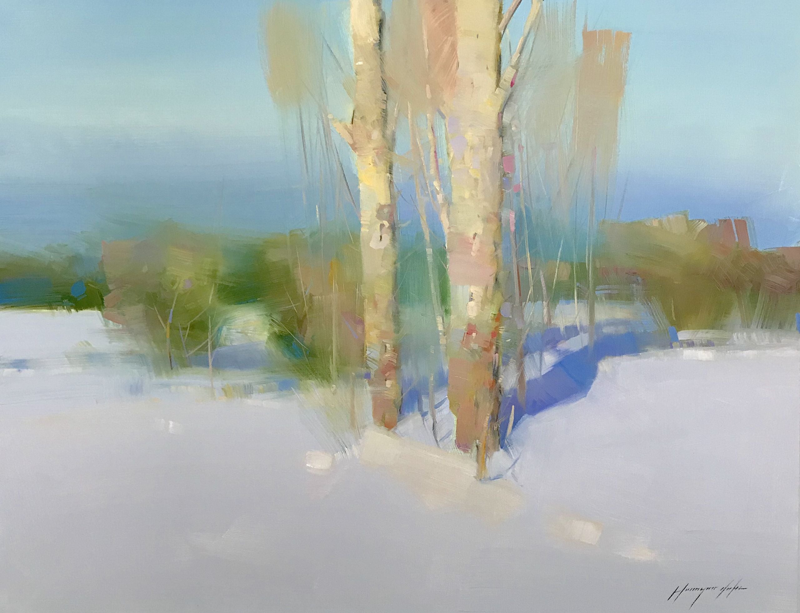 Birches at Winter