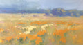 Meadow