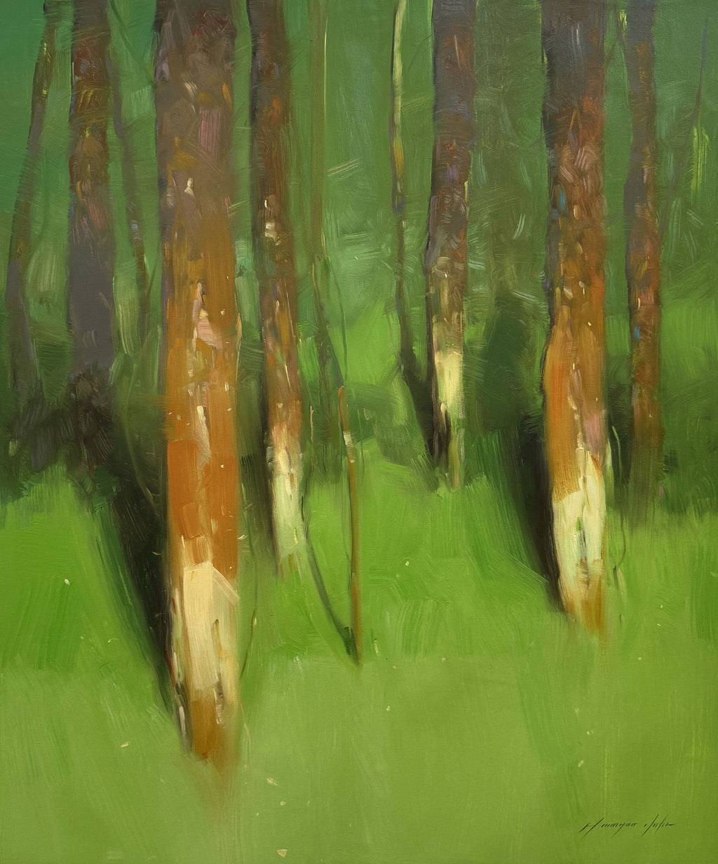 Forest Trees