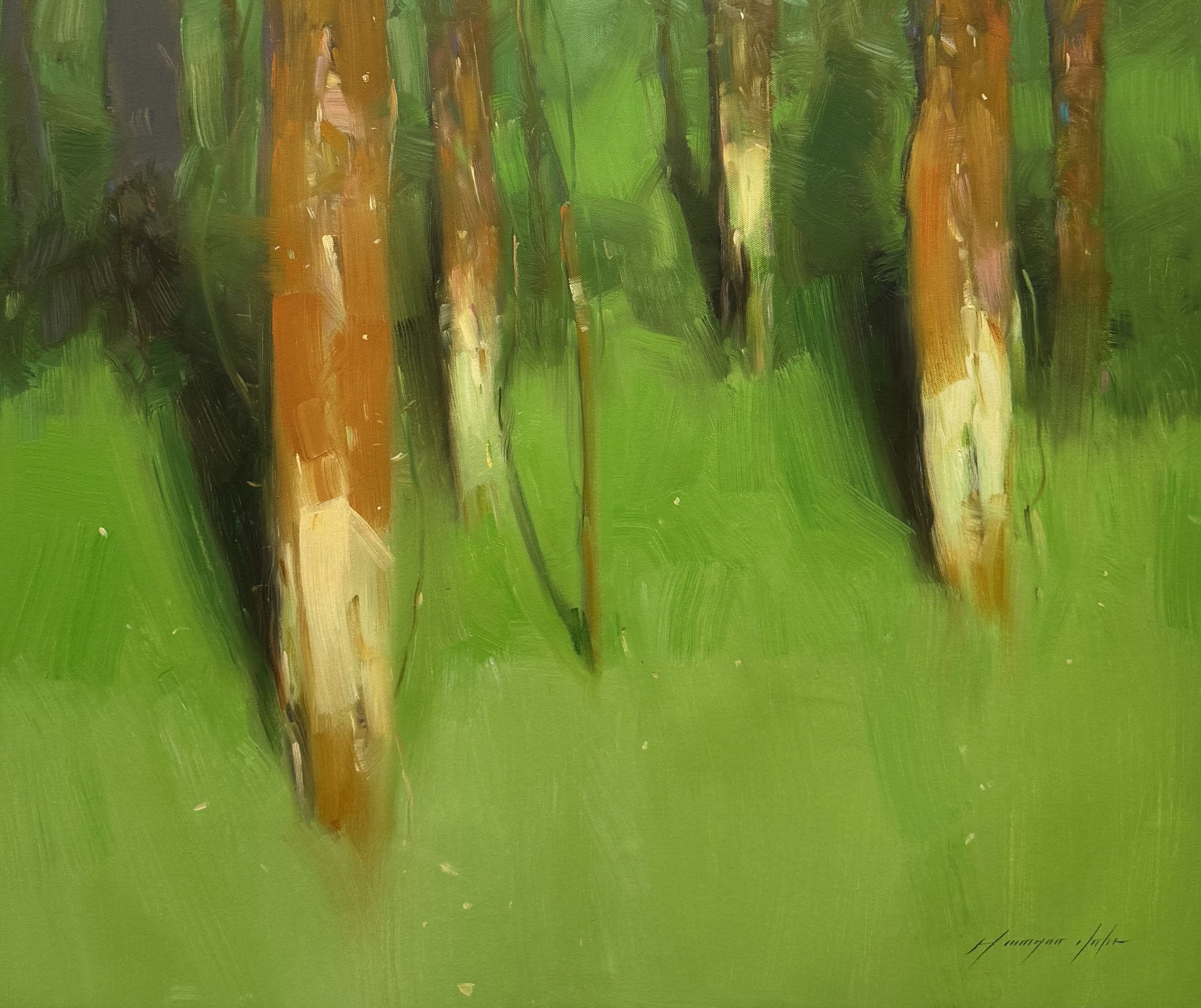 Forest Trees