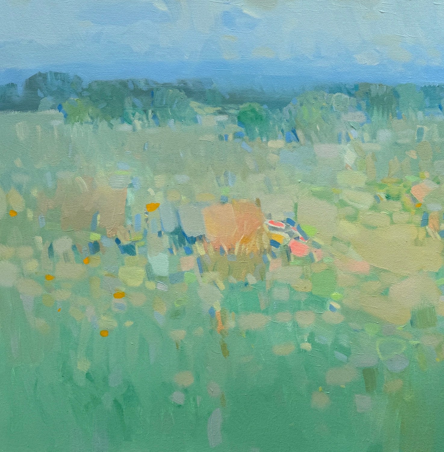 Turquoise Valley