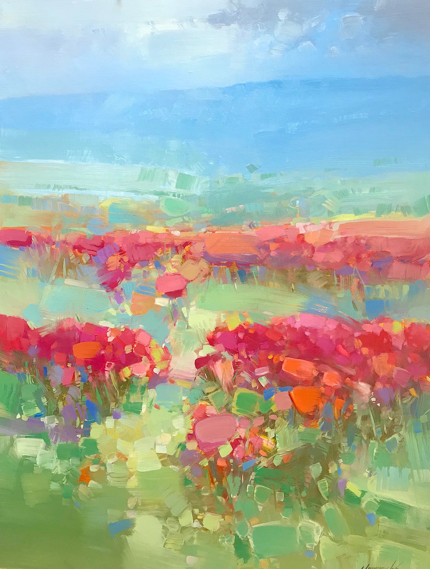 Hill of Red Flowers