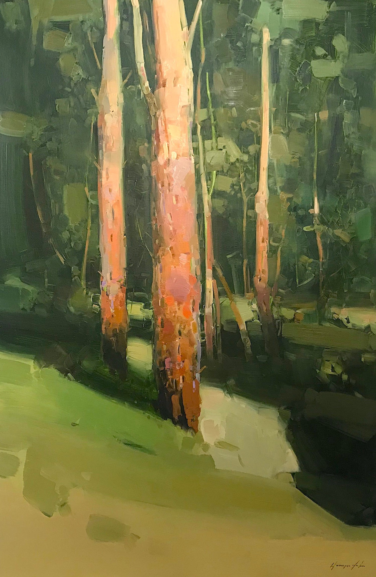 Birches Trees