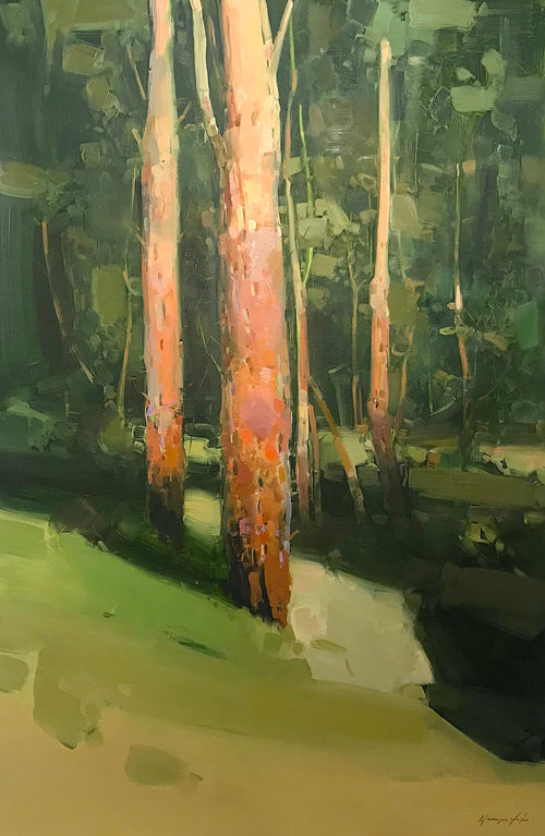 Birches Trees