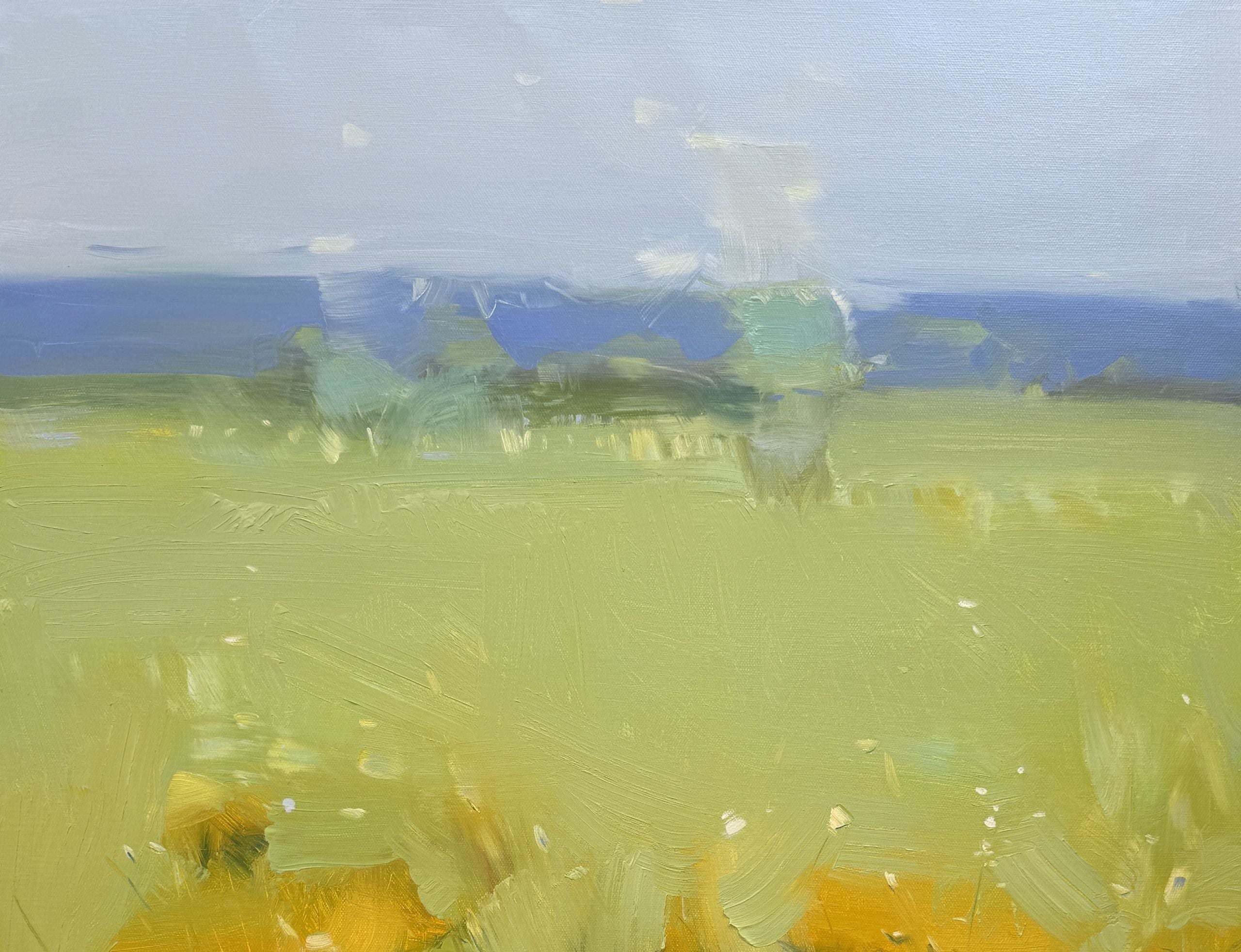 Meadow