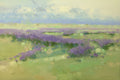 Violet Meadow