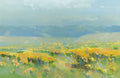 Yellow Valley