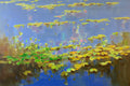 Waterlilies