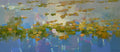Waterlilies