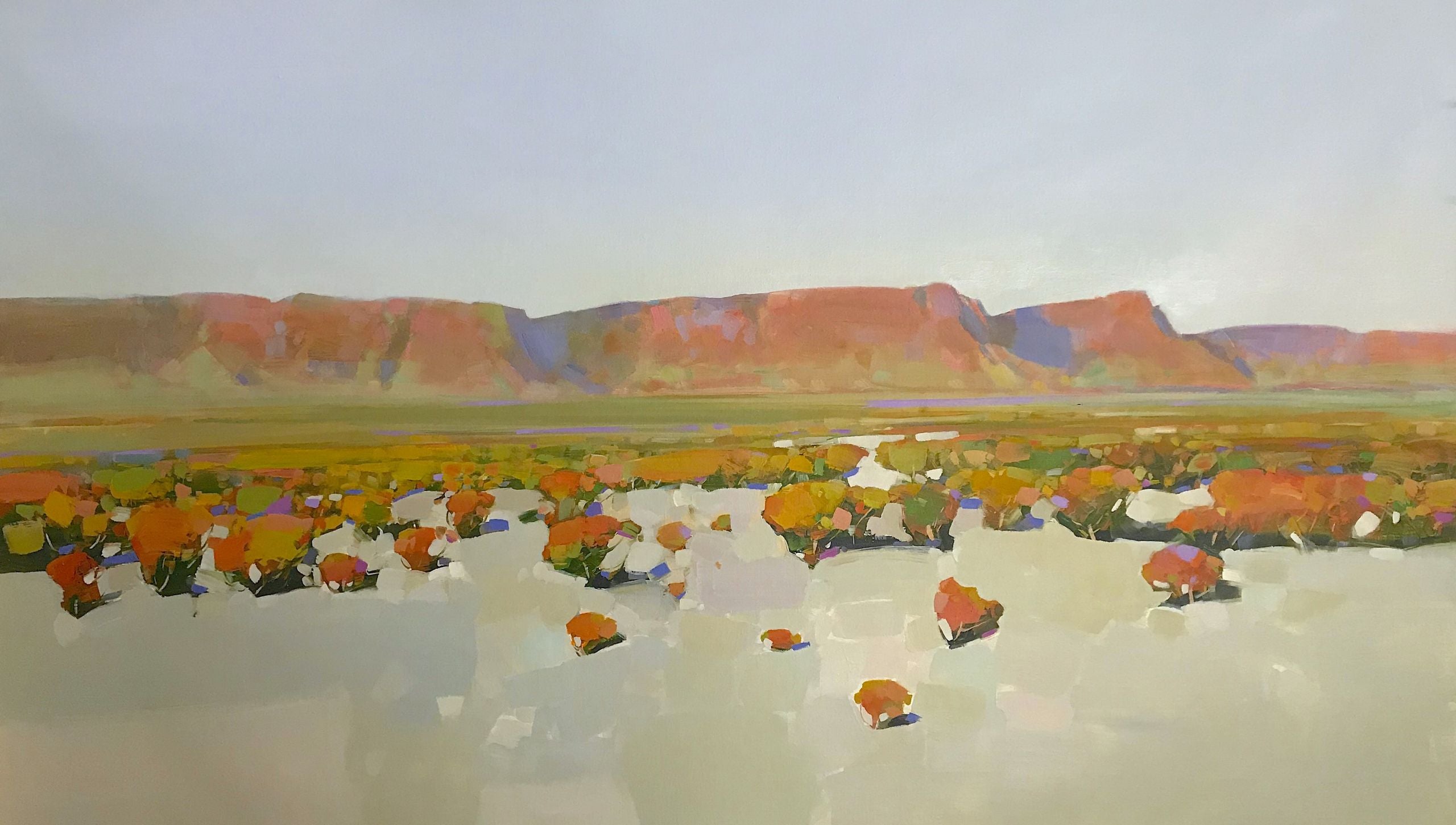Canyon View